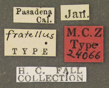 Media type: image;   Entomology 24066 Aspect: labels